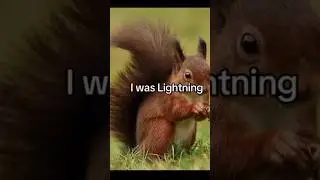 I Was Lightning Before The Thunder #shorts #meme #memes #funny