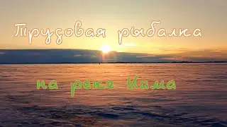 ТРУДОВАЯ РЫБАЛКА НА КАМЕ.  ЯНВАРЬ - 2026