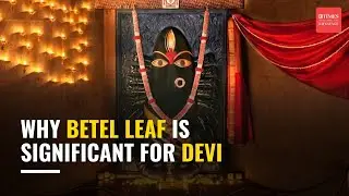 Beyond Tradition: Unveiling the Science Behind Betel Leaf & Nut with Sadhguru