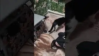 5.2.26г. РЕБЁНОК себе Игрушку нашёл!!!😊😊😊