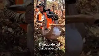 #minnesota #hunters #cazadores #youtubeshorts #caceria #colablanca #venado