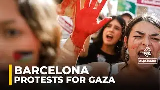 Barcelona demonstration: Pro-Palestine protesters demand action against Israel