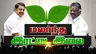 இரட்டை இலை கிடைத்துள்ளது: முதலமைச்சர் பேட்டி | OPS-EPS wins AIADMK Symbol Case | DETAILED REPORT