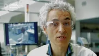 Study a Biomedical Science degree in London