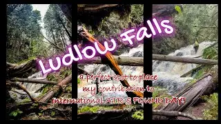 Art & Found Day at the Falls