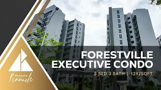 Forestville Executive Condo | Home Tour Video