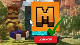 Best Public Lifesteal 24/7 Server in Minecraft