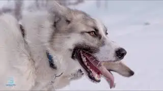 Snowhotel Kirkenes Winter 2018 4K NO SOUND