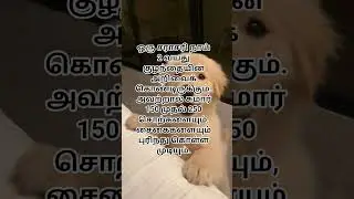 dog #dog #news #tamil #facts #information #trending #shorts #shortvideo #viral #viralvideo