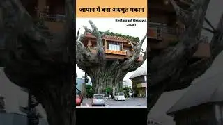 Japan mein banaa adbhut Makan #shorts #viral #news