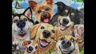 Dog Selfie jigsaw puzzle by Ravensburger . Cute adorable dogs that like to have their photo taken