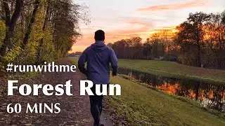 Virtual Forest Run | Real Time Nature Sounds | 1 Hour Relaxing Run with Me