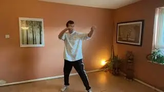 Teach Yourself Yiquan 2: The Basic Jab, part 2