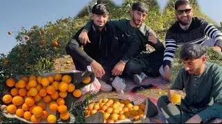 Pakistan 🇵🇰best Orange 🍊 Farms In Nowshera Kaka Saib || Salehkhanakotlikalan || Haider Said Vlogs ❤️