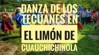 Tepalcingo Morelos | Rancho El Limón De Cuauchichinola agosto 2021 | Danza De Los Tecuanes