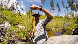 West Coast Road Trip Day 15: Epic Yosemite Fly Fishing!