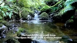 The Lost Forest - John Armless Project