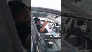Tesla Model 3 Electric Sunshade