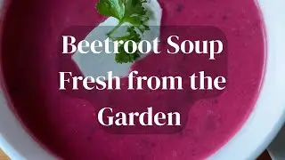 Fresh Beetroot Soup from the Garden 🌱 | Light & Earthy Dutch Oven Recipe