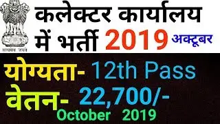 कलेक्टर कार्यालय में भर्ती //Collector office Recruitment 2019 // Collector office Vacancy 2019