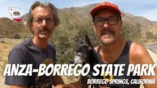 ANZA BORREGO STATE PARK | BORREGO SPRINGS, CALIFORNIA