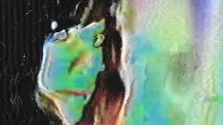 5555 - dreamfeed