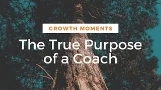 The True Purpose of a Business and Personal Life Coach
