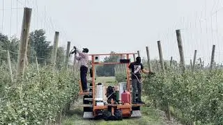 Installing trellis with Huron Fruit Systems Harvest platform