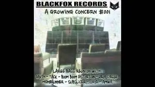 SUBSLICER -  Rock&roll // A GROWING CONCERN V/A #001 - BLACKFOX RECORDS