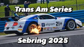 Trans Am Series Sebring 2025 (best sounding race cars on the planet)