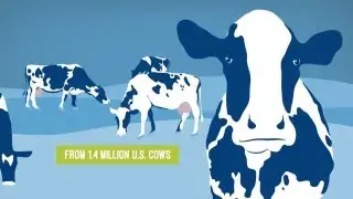 U.S. Dairy Exports: A Growth Story