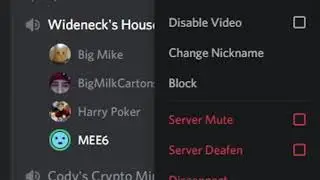 breaking the MEE6 discord bot