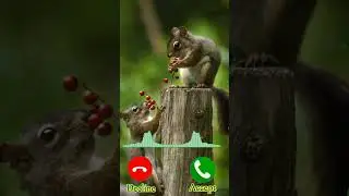 New_best_mobile_ringtone_bgm_#best_mobile_ringtone #viralshort #viralshorts #shorts #short