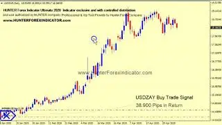POWERFULL HUNTER FOREX INDICATOR - Start make constant profits on Forex
