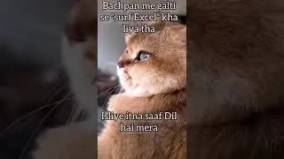 tabhi Mera man Sharif hai 😌😎 #mamu memes #subscribe my channel