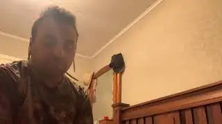 Basic mallard plead call