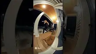 Cat vs Robber (caught on Ring camera)