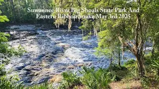 Big Shoals State Park Trail Walk And Ribbon Snake Video Spring Roadtrip May 3rd 2025 #roadtrip #tour