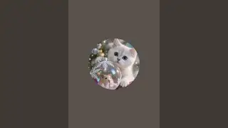 @catsAi is live!