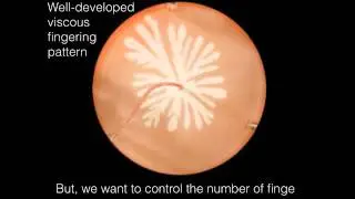 Control viscous fingering pattern