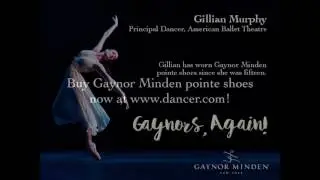 Gaynors, Again! - Gillian Murphy