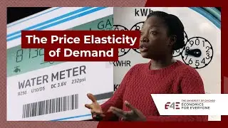 The Price Elasticity of Demand | Economics For Everyone