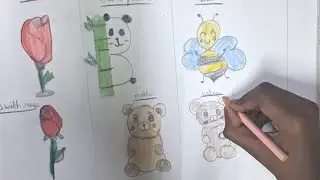 Beautiful Colouring for Rose,Teddy Bear snd Honey Bee with Colour Pencil