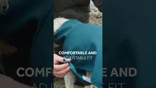 RC Pets : Quick Dry Wrap