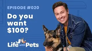 Breaking Down Negative and Positive Reinforcement Dog Training