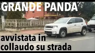 Nuova FIAT GRANDE PANDA sorpresa SU STRADA in collaudo con allestimento base