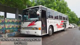 Old Hino Blue Ribbon Luxury Bus Still Operating in Sri Lanka