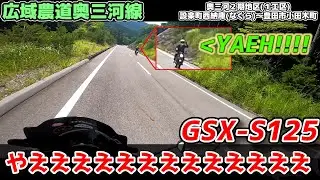【GSX-S125】愛知県に新しいツーリングコース！？広域農道奥三河線が全通したぞおおおおおおお【ゆっくりモトブログ】