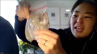 Celluclay Demo