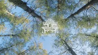 Exploring the Majestic Mountains | A Tranquil Nature Walk